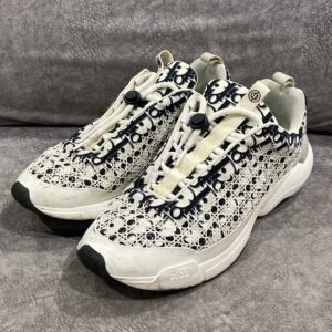 Dior B24 Sneaker Oblique White