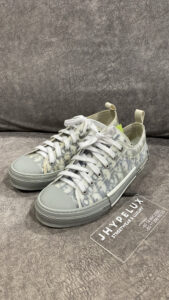 Dior B23 Low Grey Blue White