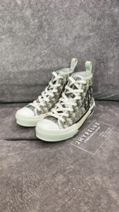 Dior B23 High Oblique White