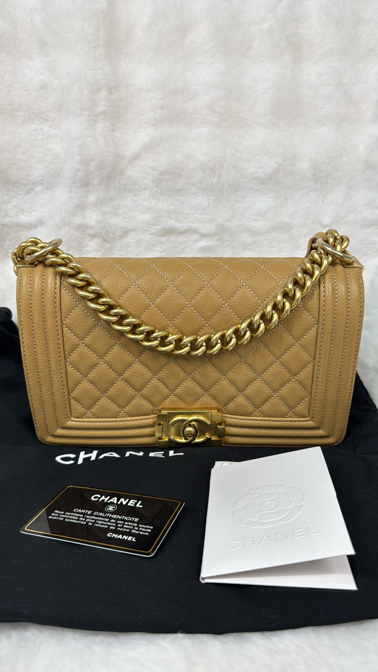 045D3729-AEA4-40F1-B3BC-7FA47801D642