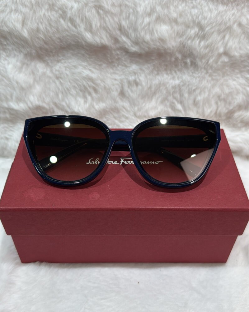 Ferragamo Cat-Eye Acetate Sunglasses Navy