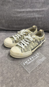 Dior B23 Low OG