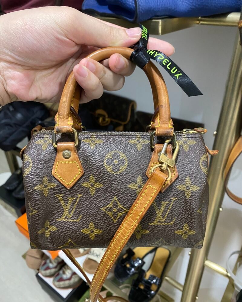 LV Bag Speedy Mini (Nano)