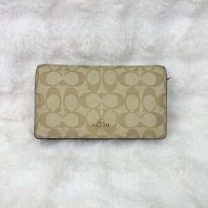Coach Bag Brown Anna
